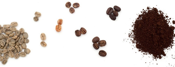 de lange evolutie van chocolade
