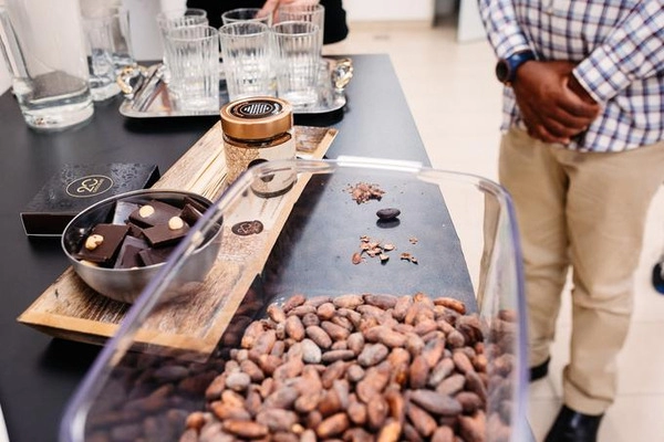20 chocolade - de chocolade die u bij de eerste hap zal verrukken