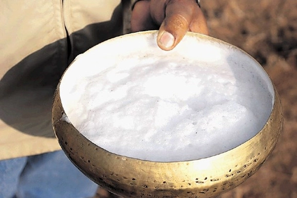 kamelenmelk melkchocolade