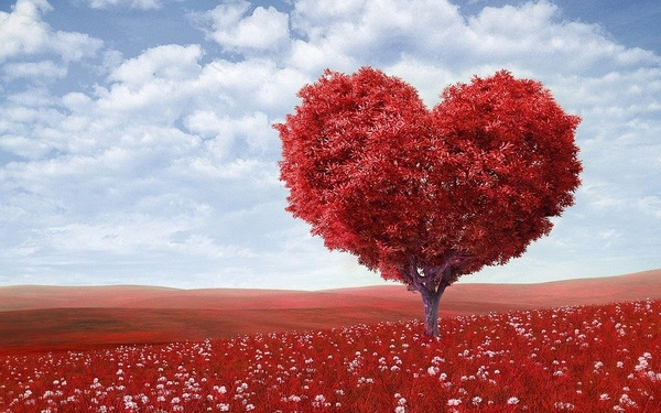 valentijnsdag en cadeaus geven