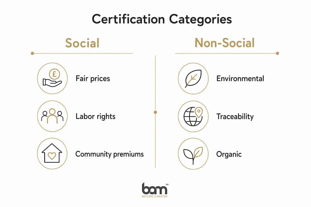 Infographic waarin de certificeringscategorieën voor chocolade worden vergeleken