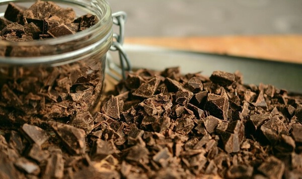chocoladenootpalmen